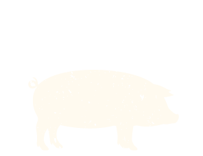 Pork